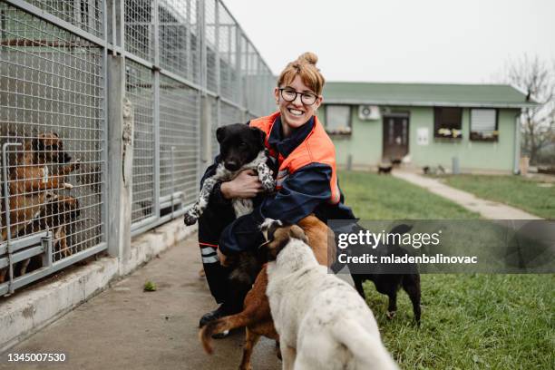 young woman in animal shelter - homeless shelter stock pictures, royalty-free photos & images