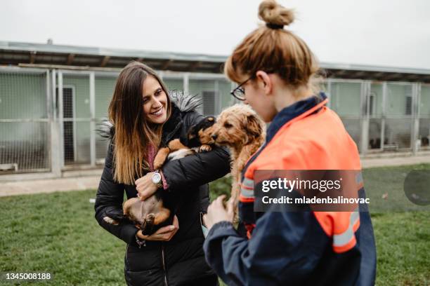 young woman with worker choosing which dog to adopt from a shelter. - red event in stockfoto's en -beelden