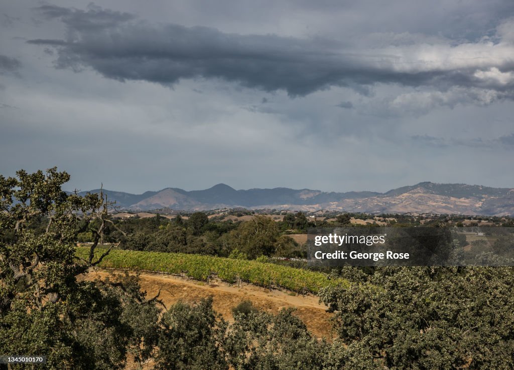 Autumn Arrives in Santa Barbara Wine Country