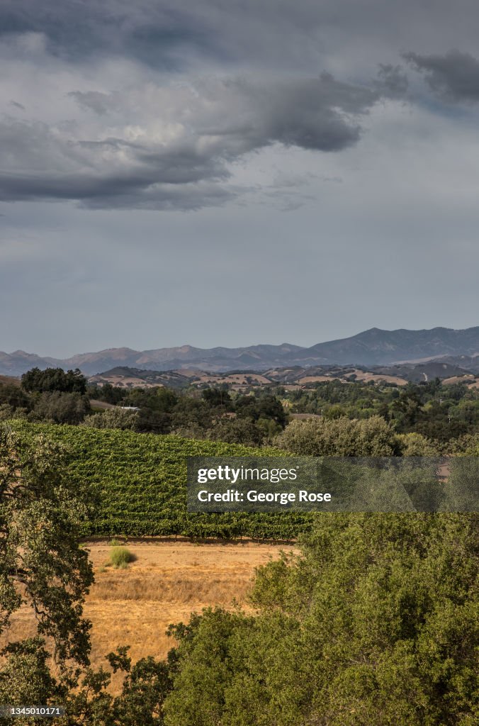 Autumn Arrives in Santa Barbara Wine Country