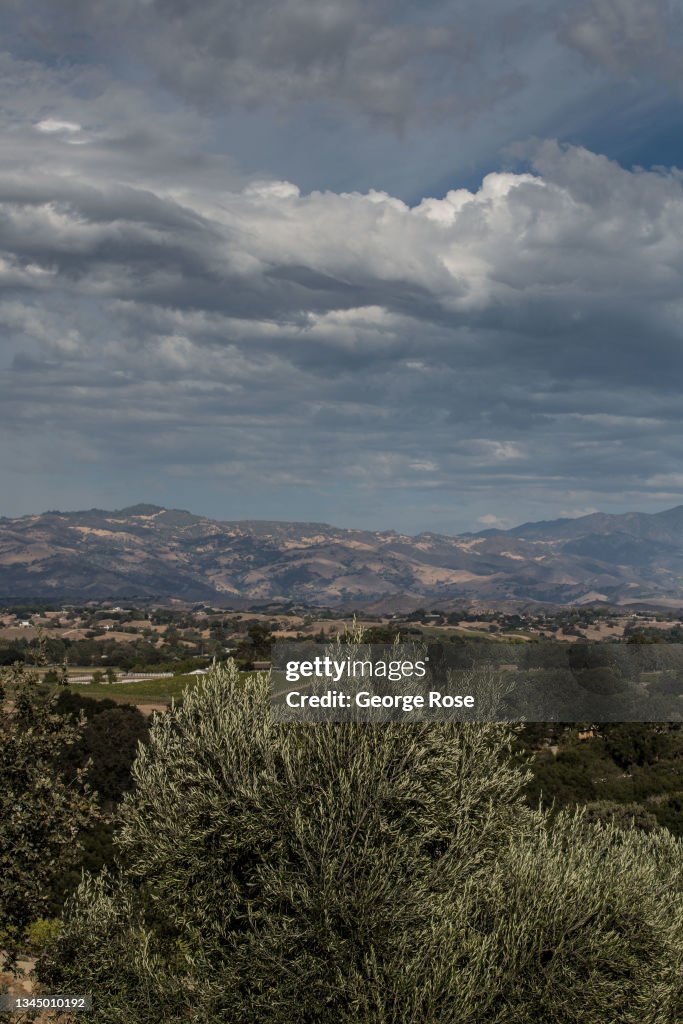 Autumn Arrives in Santa Barbara Wine Country