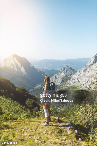 woman admiring mountain range and forest - comunidade autónoma do país basco imagens e fotografias de stock