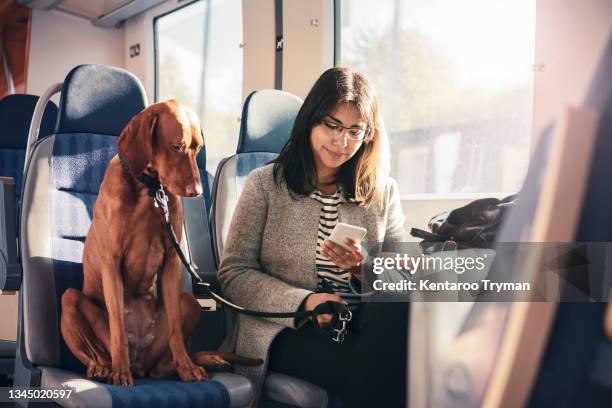 young woman using smart phone while sitting next to dog in train - bahnreisender stock-fotos und bilder