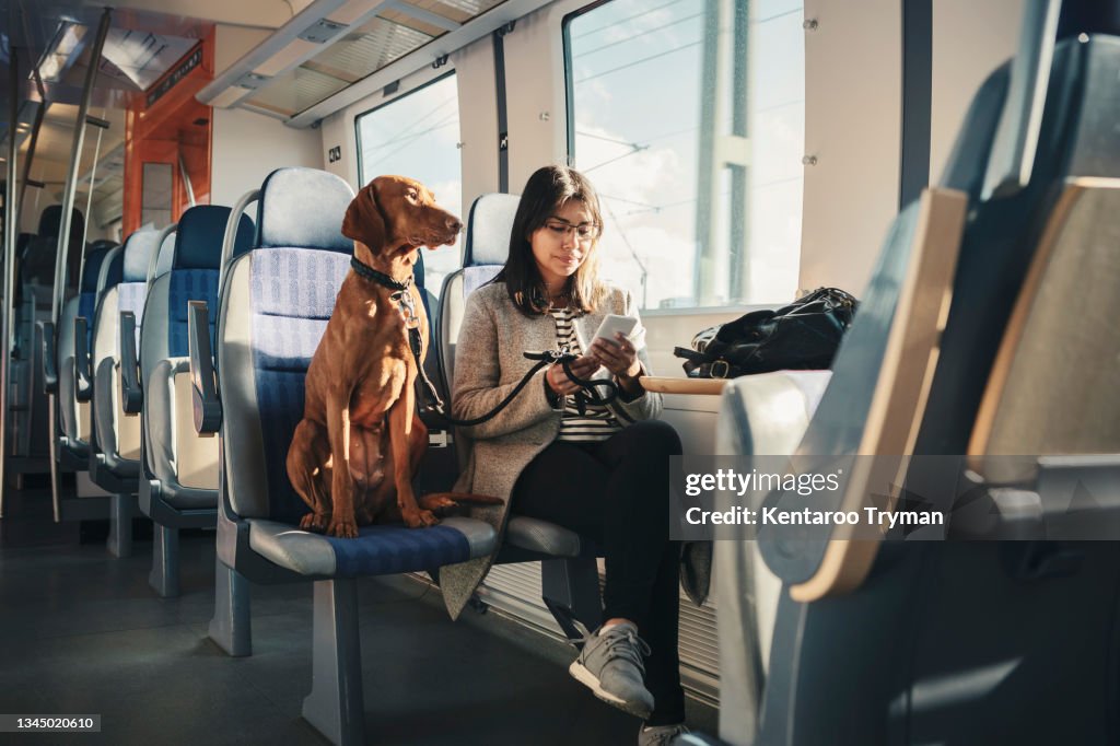 Young female passenger using mobile phone while commuting with dog in train