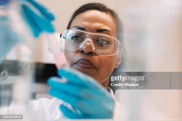 mature female virologist wearing eyeglasses experimenting in laboratory - forschung stock-fotos und bilder
