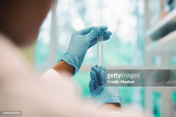 mature female virologist examining test tube while working in laboratory - test tubes stock-fotos und bilder