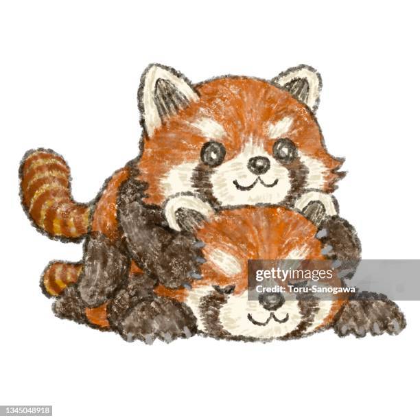 overlapping red pandas - red panda stock illustrations