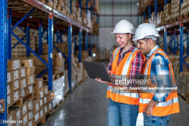 managers controlling distribution and checking inventory in warehouse storage. - workers compensation - fotografias e filmes do acervo