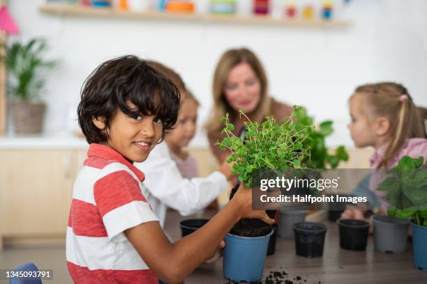small multiracial boy with group of children and teacher planting herbs into pots and looking at camera indoors in nursery, montessori education. - osteuropa stock-fotos und bilder