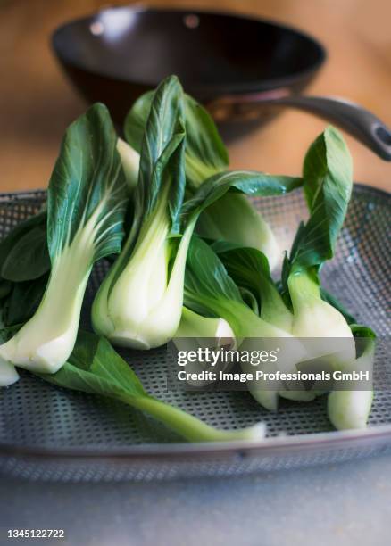 fresh pak choi - chinese cabbage imagens e fotografias de stock