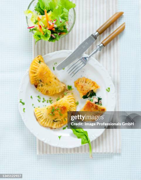 maultaschen (swabian ravioli) filled with spinach and mushrooms and a mixed leaf salad - maultaschen stock-fotos und bilder