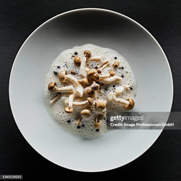 enoki mushrooms on a plate with foam - bebida con espuma fotografías e imágenes de stock