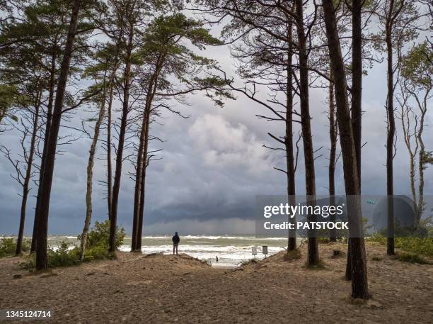 unrecognizable tourist watching kitesurfers in baltic sea during windy weather. - baltic sea poland stock pictures, royalty-free photos & images