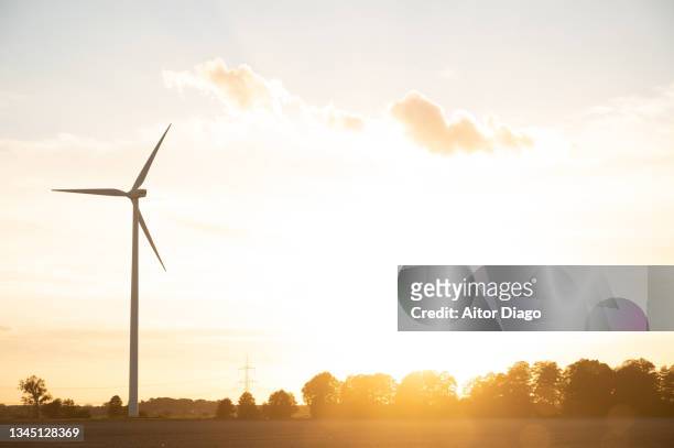 windmills in a rural landscape with a beautiful sunset. germany. - glasfaserkabel bildbanksfoton och bilder