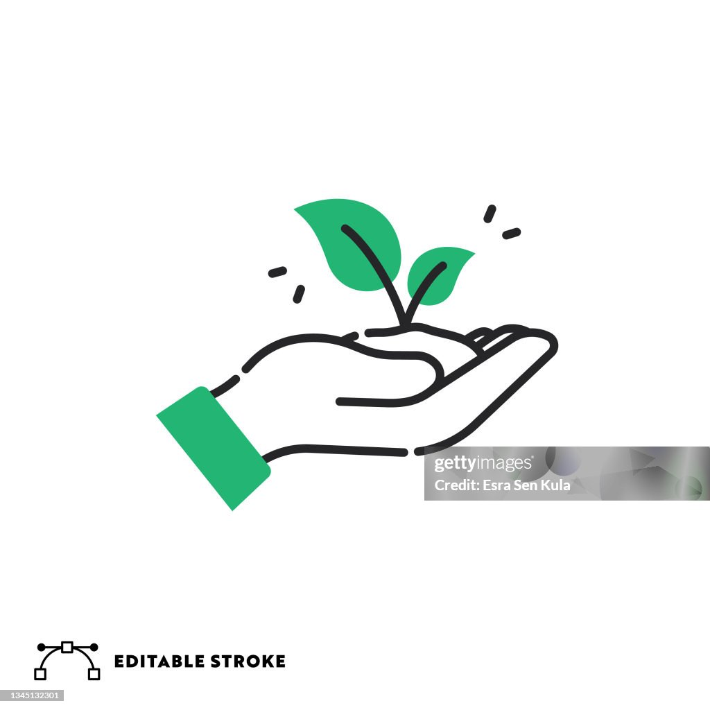 Ecology Flat Line Icon with Editable Stroke