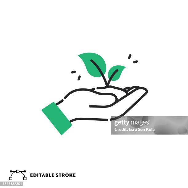 ecology flat line icon with editable stroke - sustainable development goals icons stock illustrations