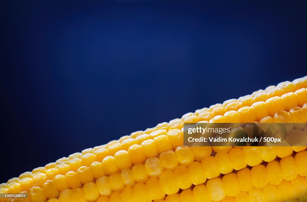 Close-up of corn against white background
