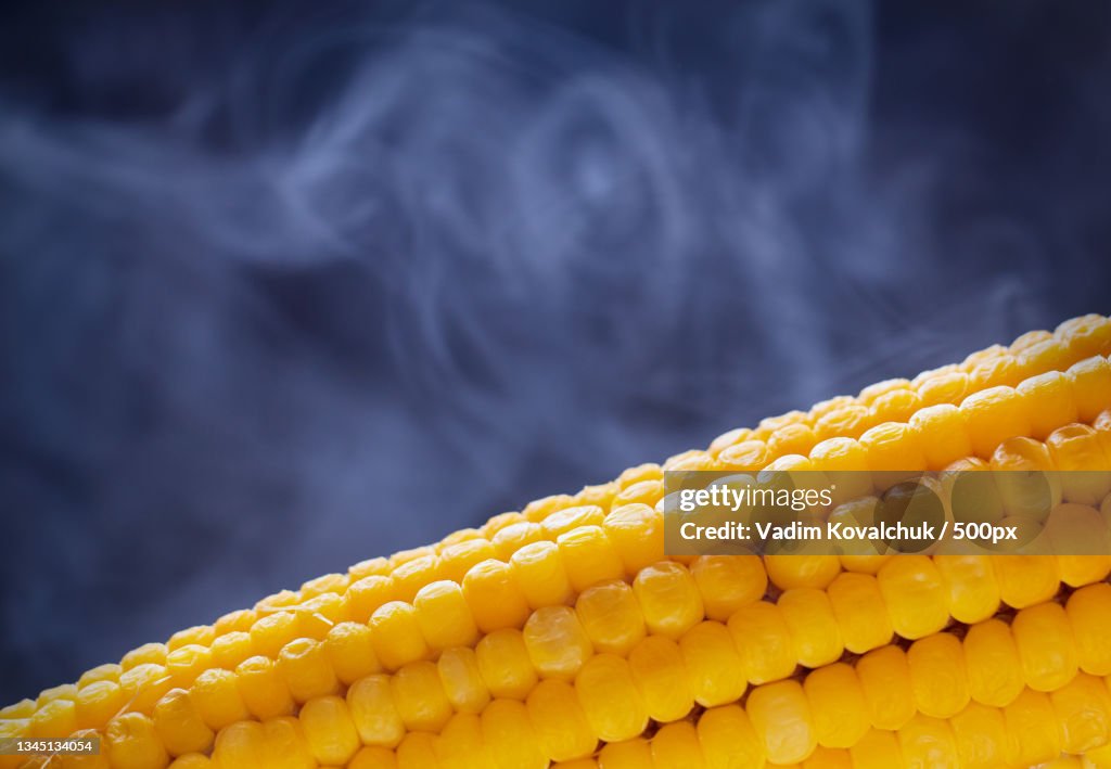 Close-up of corns against black background