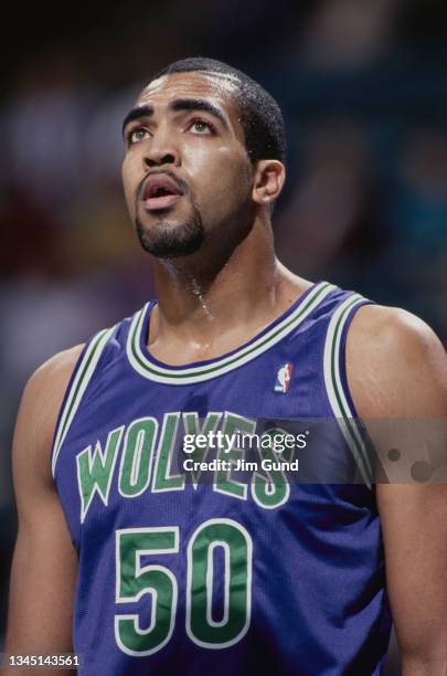 Felton Spencer, Center for the Minnesota Timberwolves looks on during the NBA Central Division basketball game against the Charlotte Hornets on 10th...