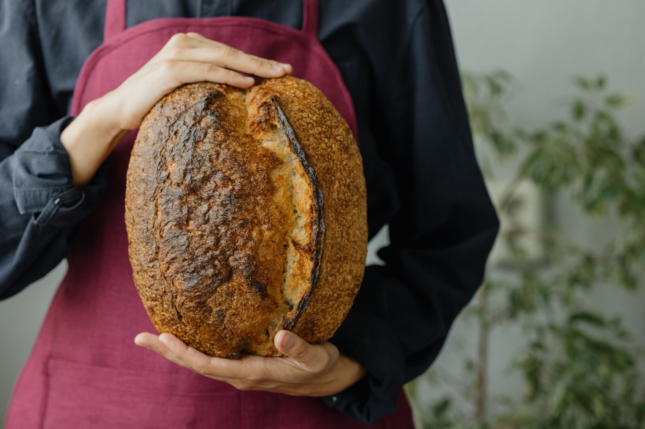 beginner sourdough
