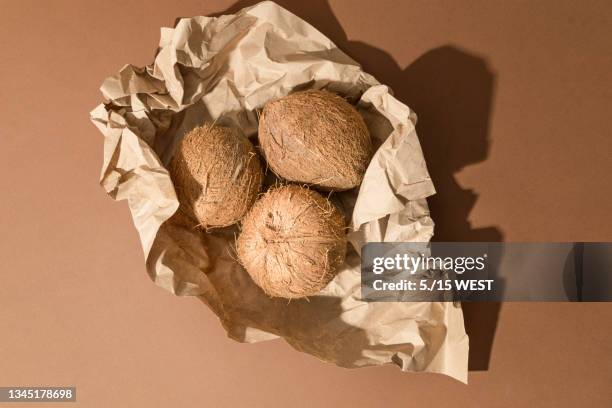 three coconuts lie on a brown background, top view - coco brown imagens e fotografias de stock