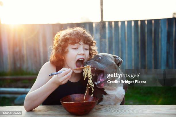 boy and dog eating ramen - funny dogs stock pictures, royalty-free photos & images