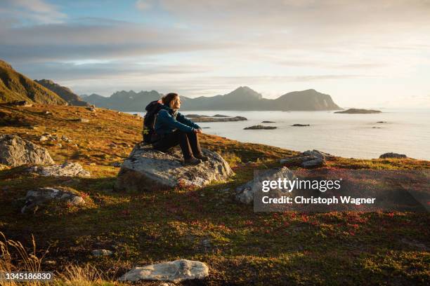 woman enjoys the norwegian countryside - nordland county photos et images de collection