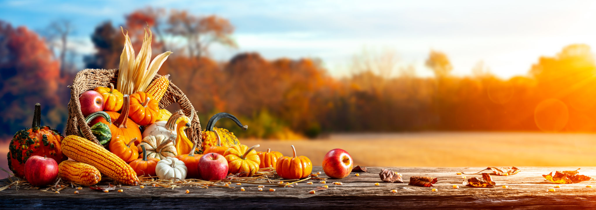 harvest festival