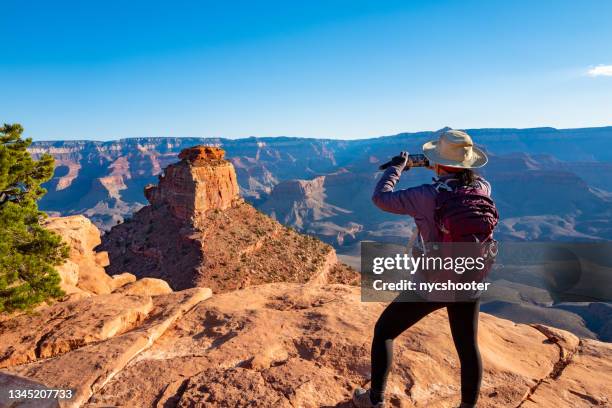 malerische aussicht auf den südrand des grand canyon - american tourist stock-fotos und bilder