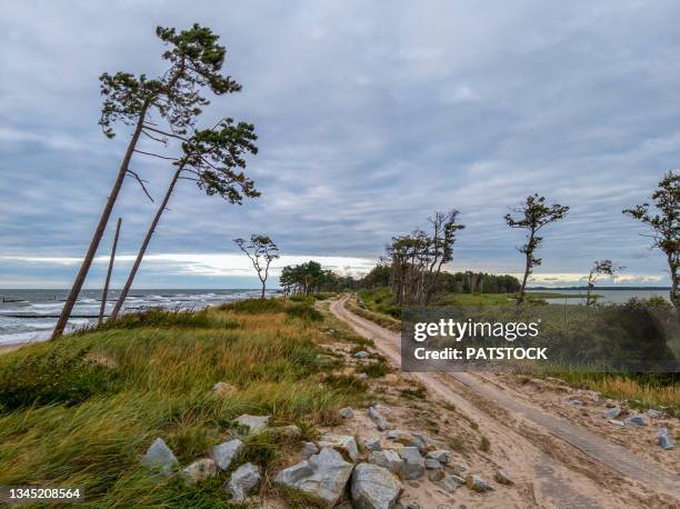 cyclist on eurovelo 10 bicycle route leading on the narrow strip of land between lake kopan (r) and baltic sea (l), poland - poland sea stock pictures, royalty-free photos & images