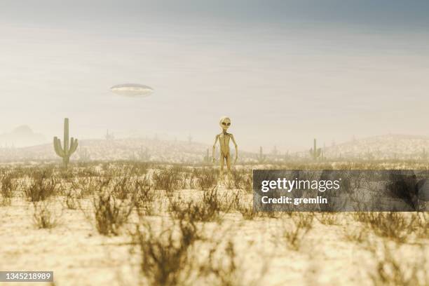 alien walking in desert - area 51 stock pictures, royalty-free photos & images