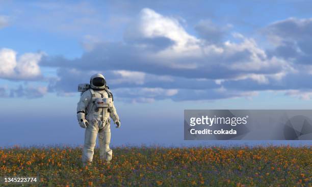 astronaut on an earth like planet - cosmonaut stock pictures, royalty-free photos & images