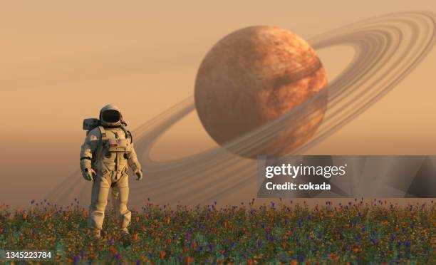 astronauta em um planeta remoto - cosmos flower - fotografias e filmes do acervo