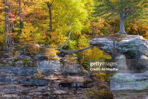 483 Michigan Pictured Rocks Stock Photos, High-Res Pictures, and Images ...