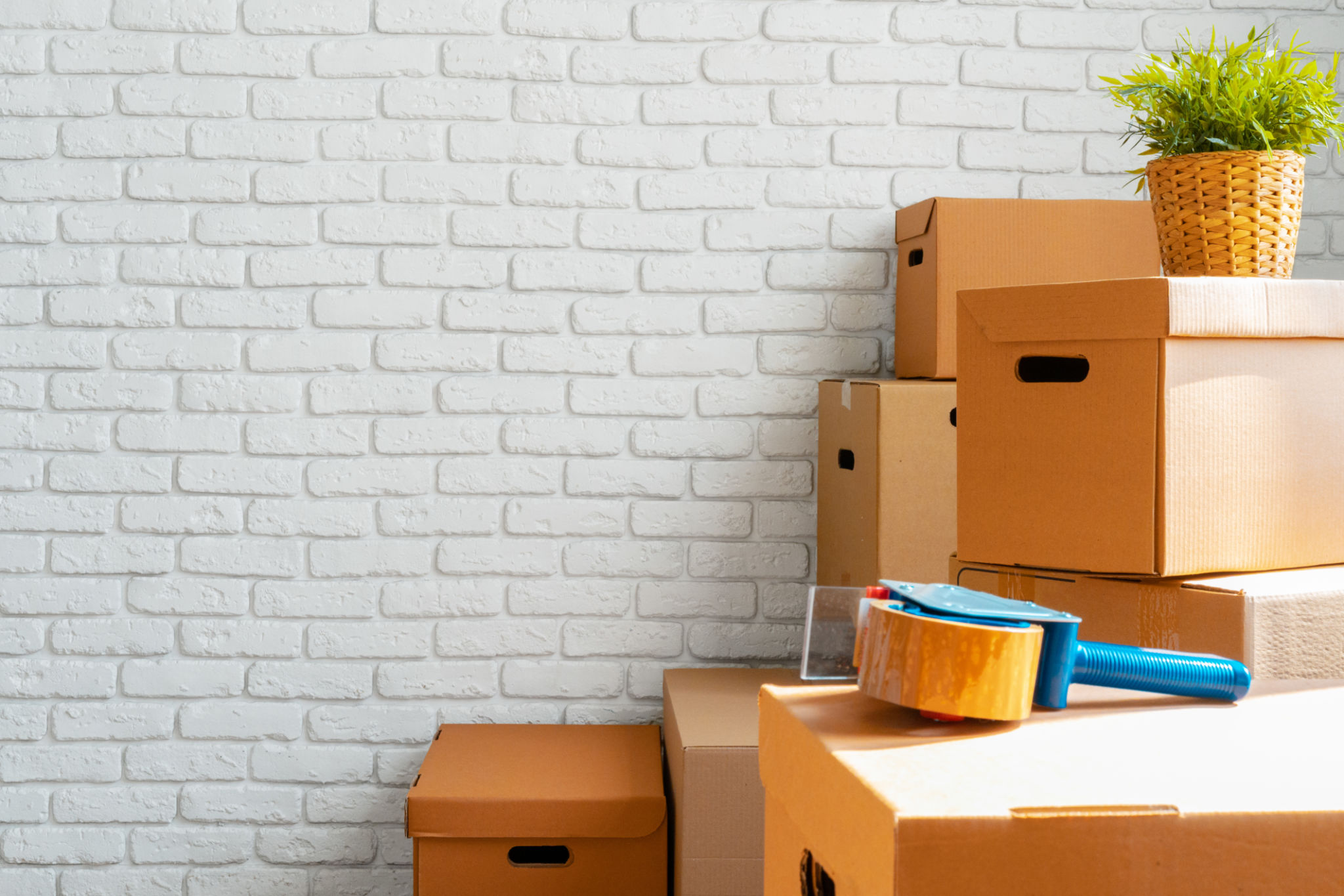 organized moving boxes