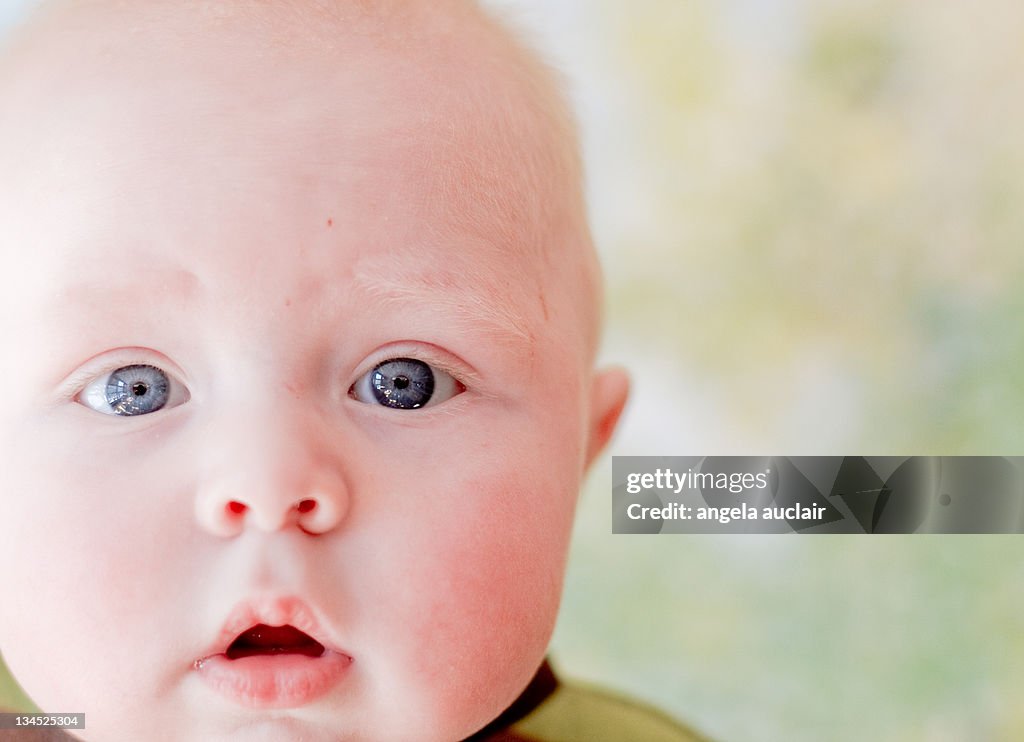 Portrait of baby boy