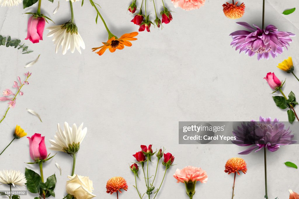 Composition made of meadow flowers and leaves on white background. Flat lay. View from above.