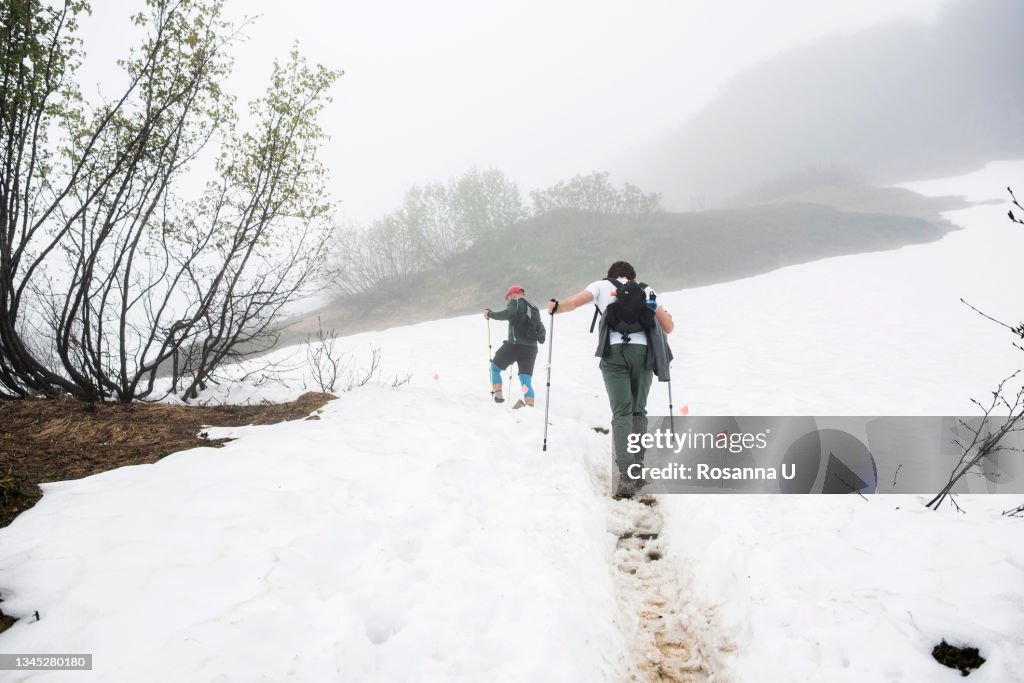 USA, Alaska, Rear view of hikers on snow covered field in Denali National Park