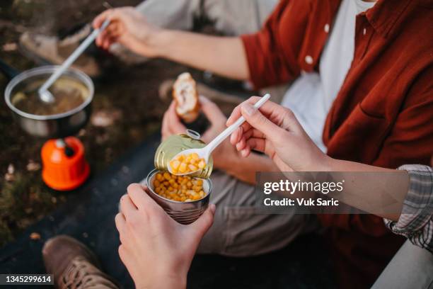 eating during camping - camping stove stock pictures, royalty-free photos & images