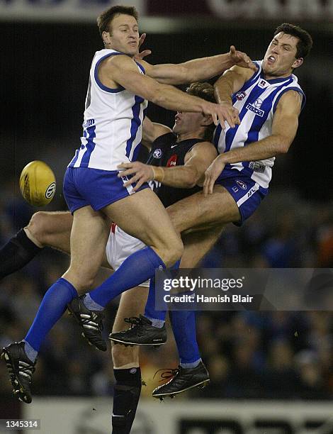 160 Mark Porter Australian Rules Football Photos & High Res Pictures ...