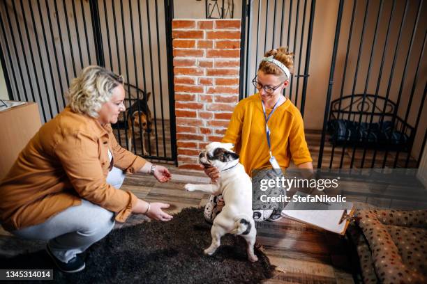 todo perro necesita amor - adopción de mascotas fotografías e imágenes de stock