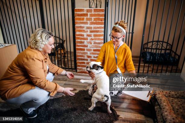 chaque chien a besoin d’amour - adoption photos et images de collection