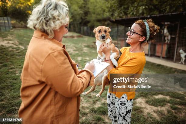 nous aimons les animaux - adoption photos et images de collection