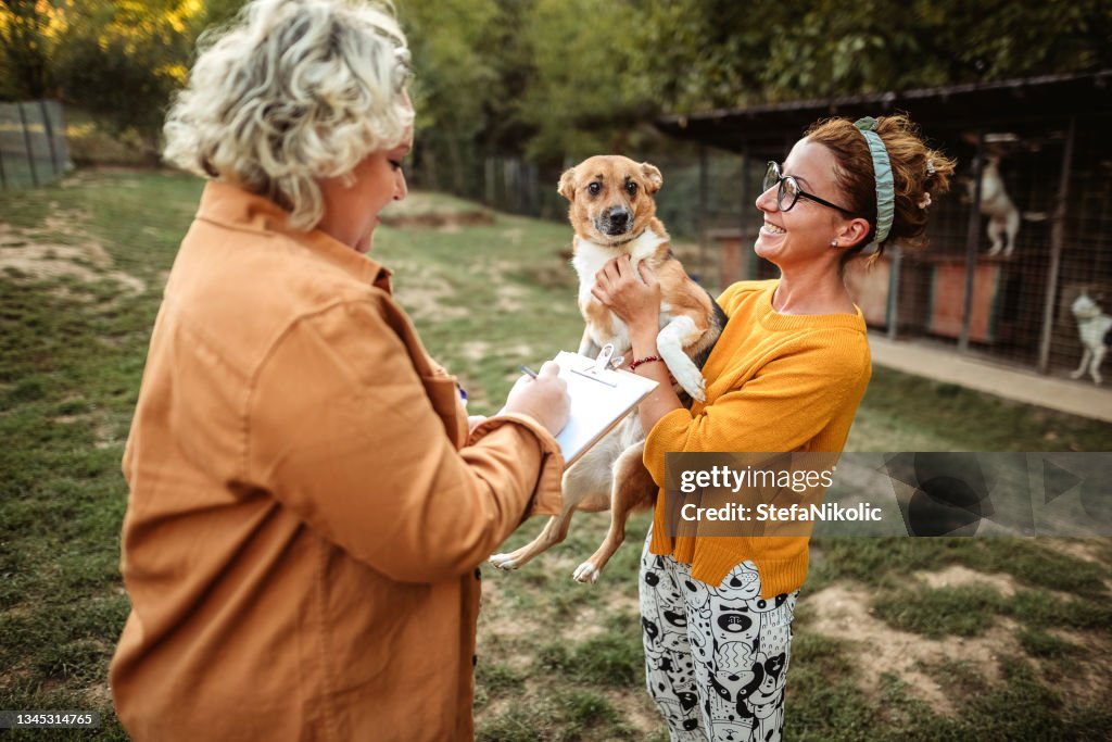 We love animals