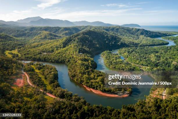 aerial view of river amidst trees against sky,degarra,queensland,australia - australian rainforest stock pictures, royalty-free photos & images