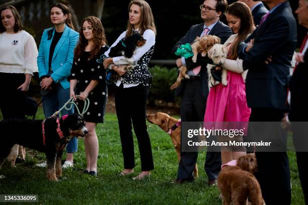 Senate staff members and their dogs look on as Sen. John Kennedy speaks at a press conference for Sen. Rand Paul's FDA Modernization Act on Capitol...