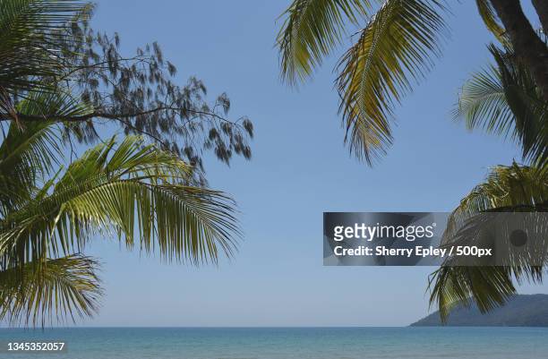 scenic view of sea against clear sky,cape tribulation,queensland,australia - cape tribulation stock pictures, royalty-free photos & images