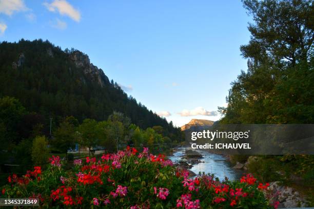 verdon river castellane france - peppermint geranium stock pictures, royalty-free photos & images