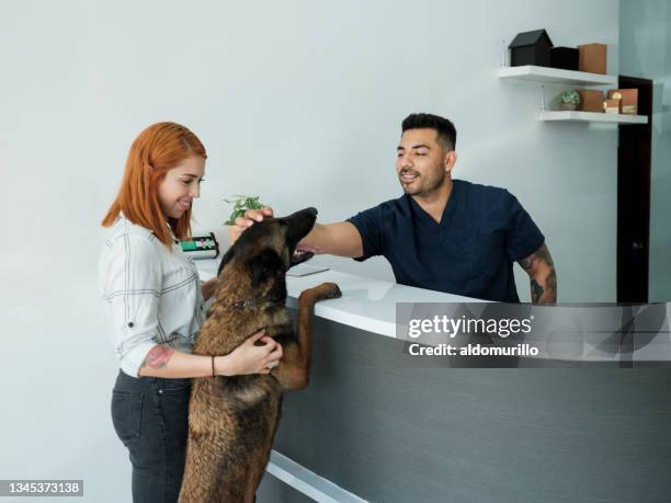 68 Veterinary Receptionist Photos and Premium High Res Pictures - Getty Images 68 Veterinary Receptionist Photos and Premium High Res Pictures - Getty Images