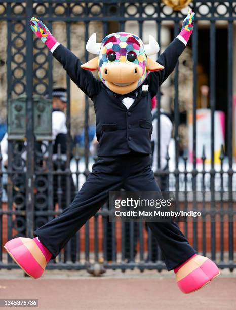 Perry the bull attends the launch of the Queen's Baton Relay for Birmingham 2022, the XXII Commonwealth Games at Buckingham Palace on October 7, 2021...